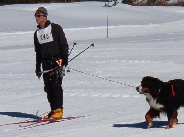 LAPS dog friendly charity events in Summit County Colorado (Frisco, Silverthorne, Breckenridge, Dillon, Copper Mountain, Keystone)