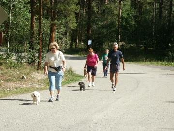 LAPS dog friendly charity events in Summit County Colorado (Frisco, Silverthorne, Breckenridge, Dillon, Copper Mountain, Keystone)